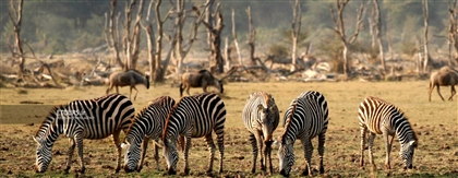 هتل‌های آفریقای جنوبی