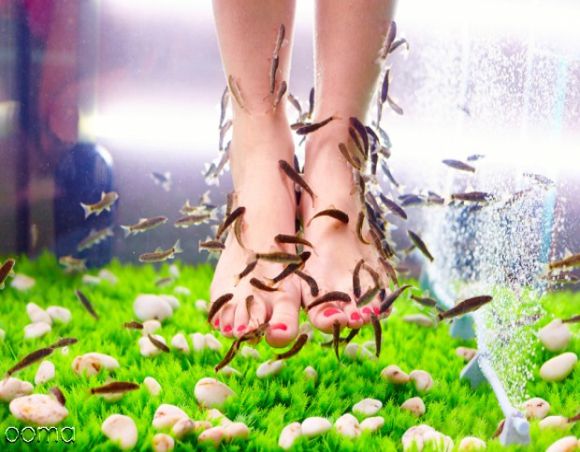 ماساژ دکتر فیش